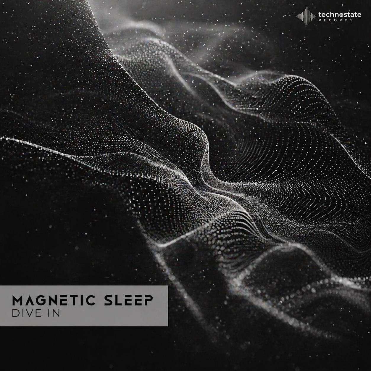 Dive In - Magnetic Sleep - Artwork